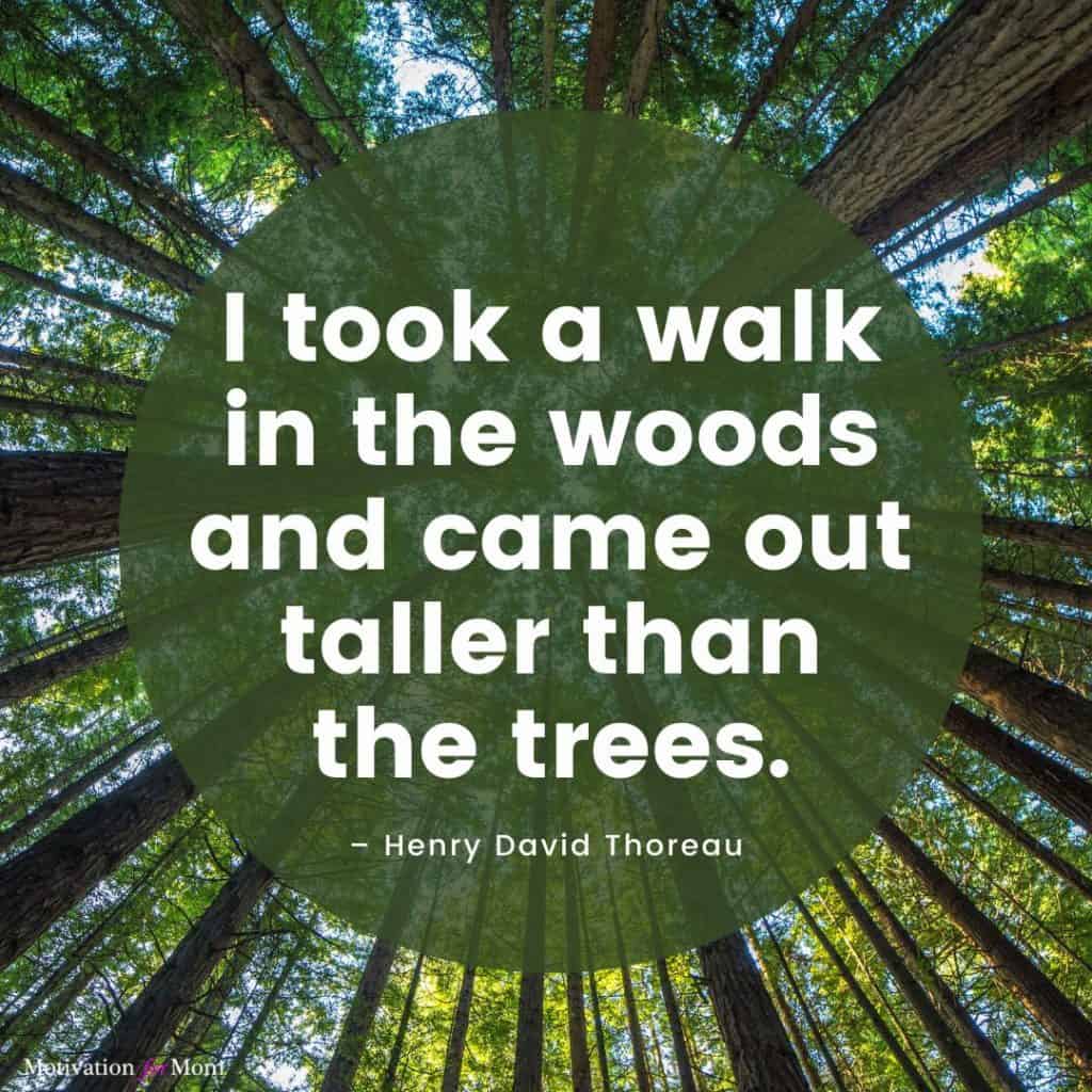 Nature quotes, quotes about being outside, quotes about nature