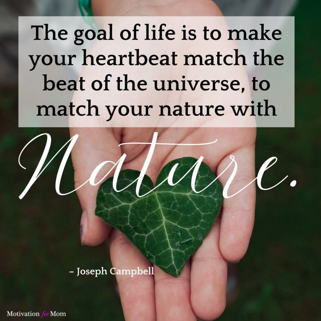 Nature quotes, quotes about being outside, quotes about nature