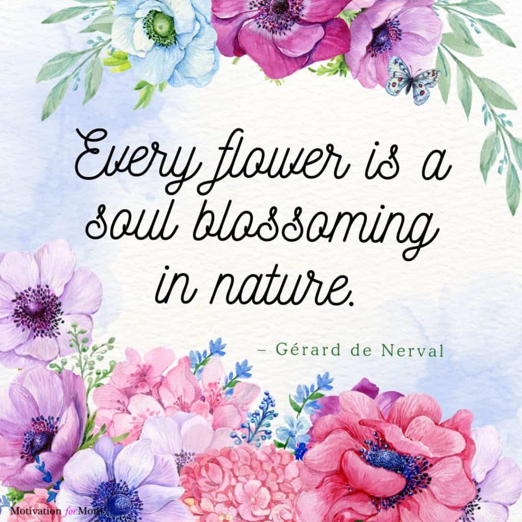 Nature quotes, quotes about being outside, quotes about nature