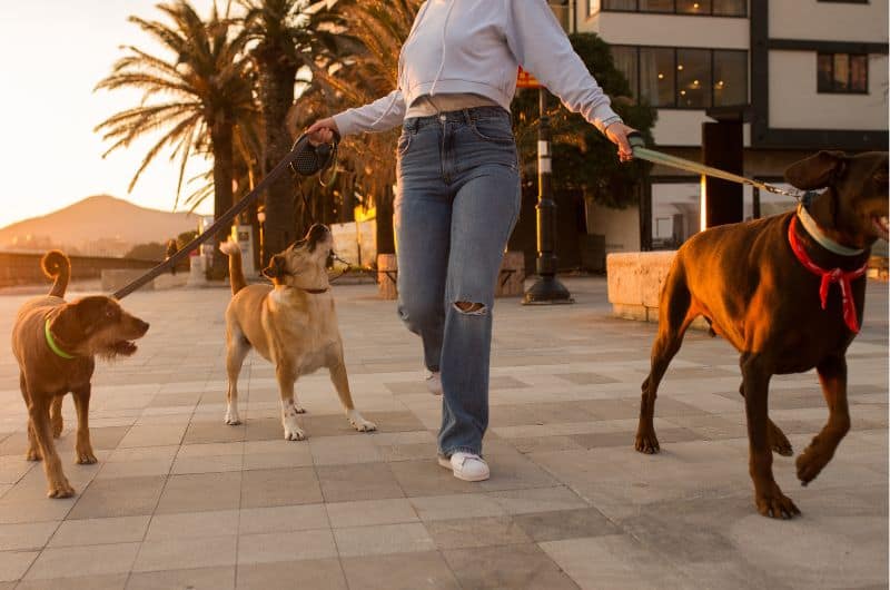 money making hobbies, hobbies that make money