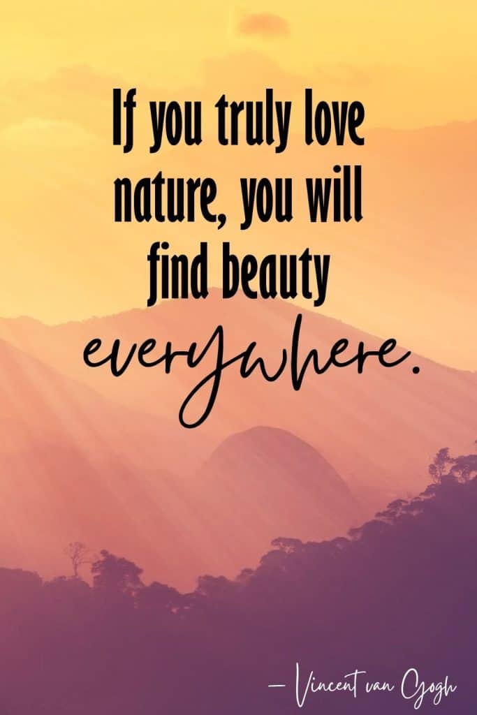 earth day quotes, quotes about the earth