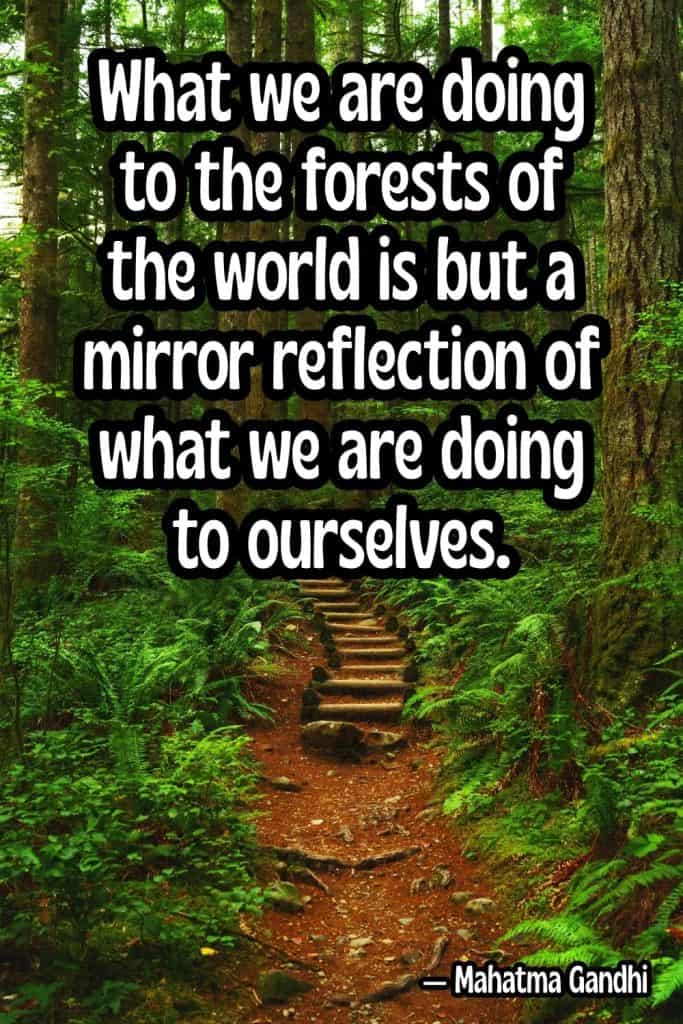 earth day quotes, quotes about the earth