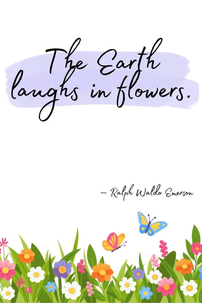 earth day quotes, quotes about the earth