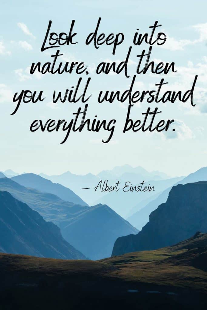 earth day quotes, quotes about the earth